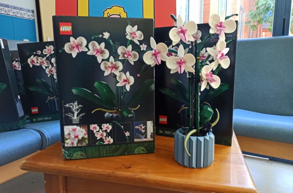 Entrega de Legos de @CapgeminiSpain  – aLTRAN
