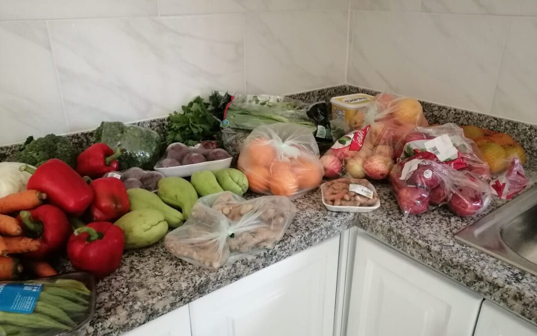 Marcha del Hogar Madelaes en República Dominicana