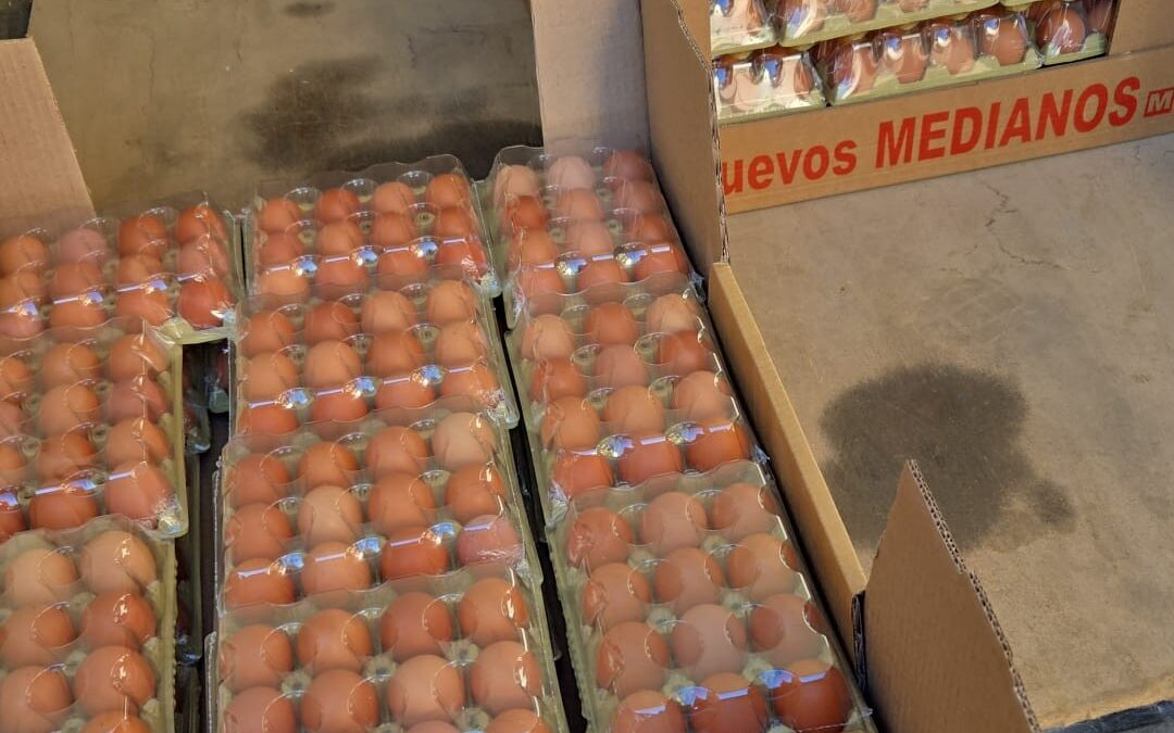 Agradecimiento a Huevos Guillén, Nutrave y Gata Logistic por la donación y transporte de huevos y pollo para el Banco Solidario en Toledo