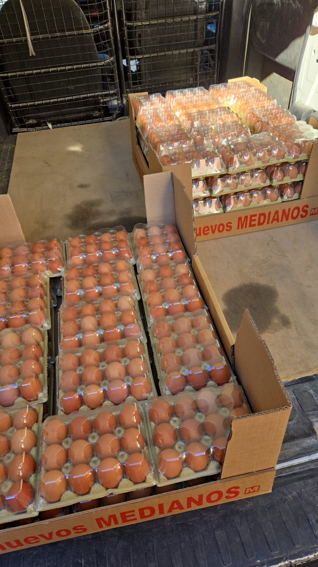 Agradecimiento a Huevos Guillén, Nutrave y Gata Logistic por la donación y transporte de huevos y pollo para el Banco Solidario en Toledo