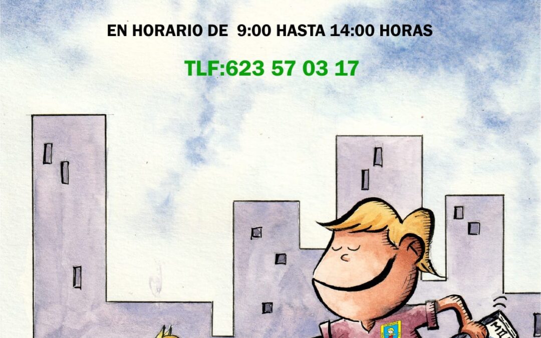 Recogida Solidaria de alimentos en la ciudad de Melilla