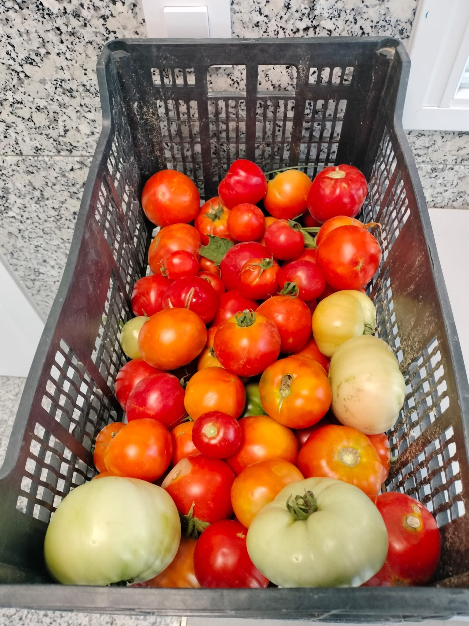 Agradecimiento a la Huerta de Plata y Castañar de Villaverde por la donación de frutas y hortalizas al Centro Familiar Mensajeros de la Paz Villaverde
